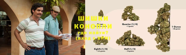 прущие грибы Аркадак