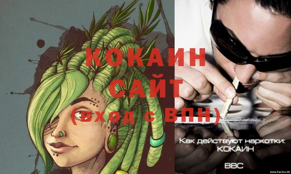 прущие грибы Аркадак