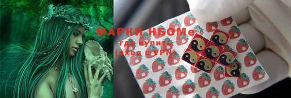 прущие грибы Аркадак