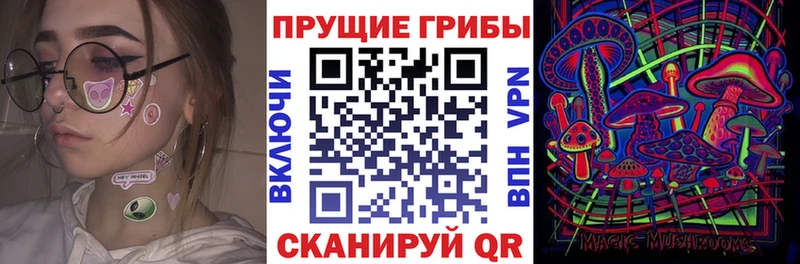 Галлюциногенные грибы прущие грибы Гудермес